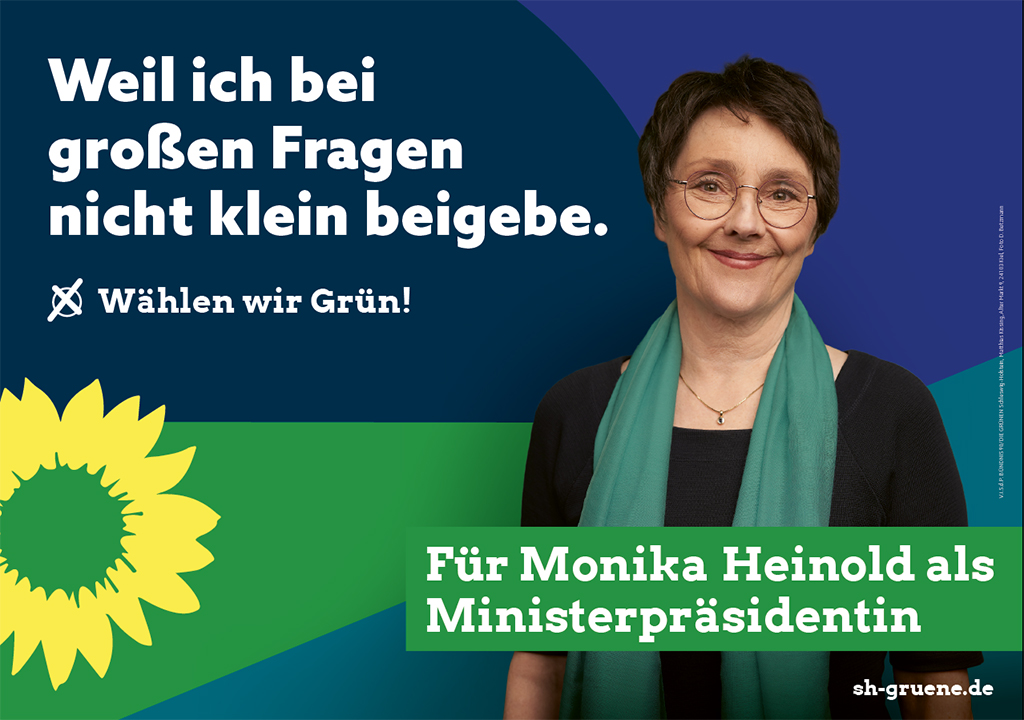 Beschmierte Wahlplakate: Grüne in Bad Segeberg setzen Belohnung für  Hinweise aus