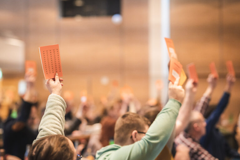 Nord-Grüne fordern Böllerverbot und ein möglichst kostenloses Deutschlandticket für Schüler*innen, Azubis und Menschen mit geringem Einkommen