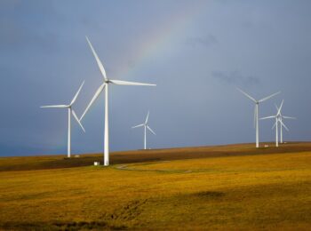 windmills rainbow fields 5643293