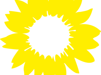 Logo von BÜNDNIS90/DIEGRÜNEN gelbe Sonnenblume auf transparentem Hintergrund