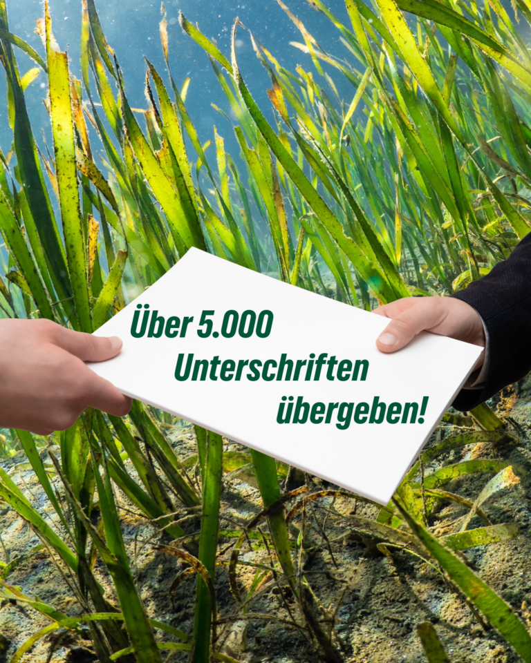 Über 5.000 Unterschriften für gebührenfreie Seegras-Pflanzungen ans Bundesverkehrsministerium übermittelt